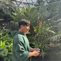 member face