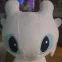 member face
