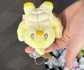 member face