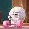 member face