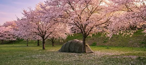 모임 대표 이미지