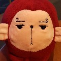 member face