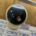 member face