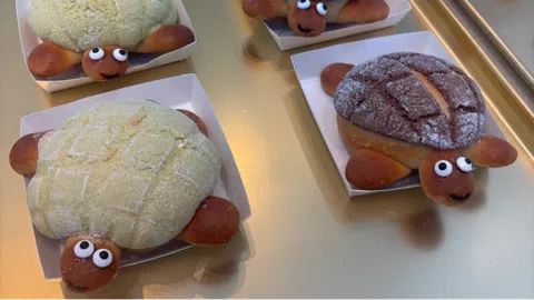 정모 대표 이미지