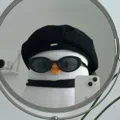 member face