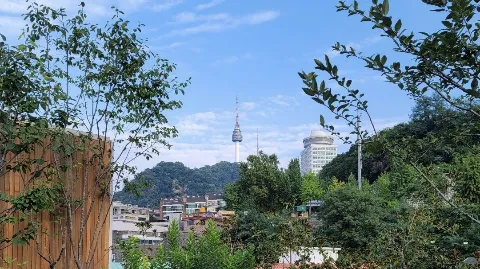 정모 대표 이미지