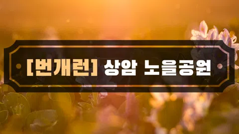 정모 대표 이미지