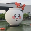 member face