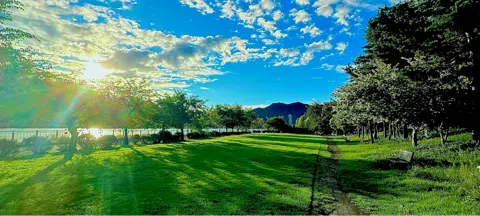 모임 대표 이미지