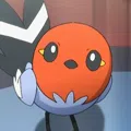 member face