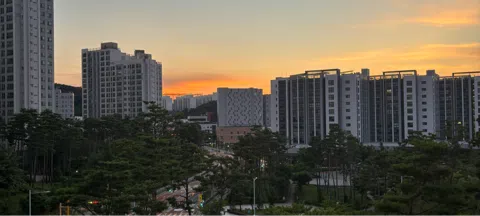 모임 대표 이미지