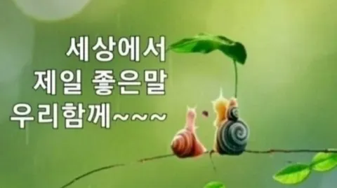 정모 대표 이미지