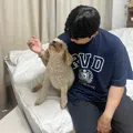 member face
