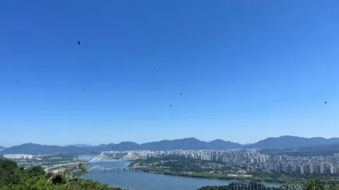 정모 대표 이미지