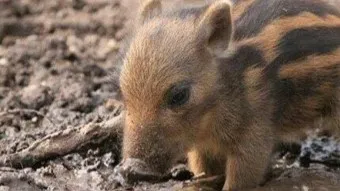 정모 대표 이미지