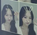 member face