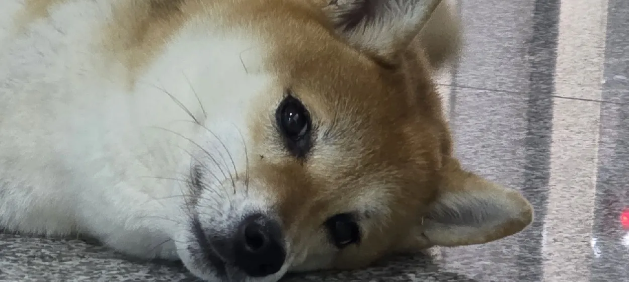 모임 이미지 1
