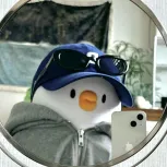 member face