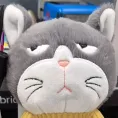 member face