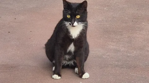 정모 대표 이미지