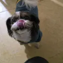 member face