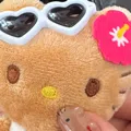 member face