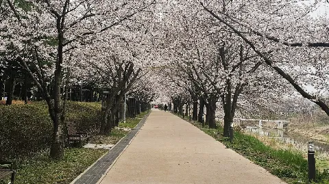 정모 대표 이미지