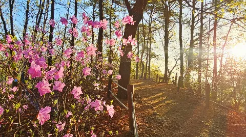 정모 대표 이미지