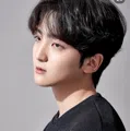 member face
