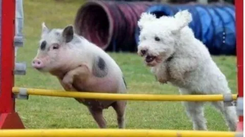 정모 대표 이미지