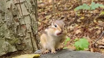 정모 대표 이미지