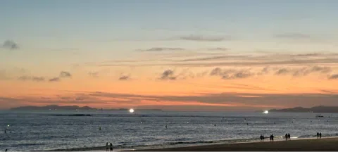 모임 대표 이미지