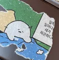 member face
