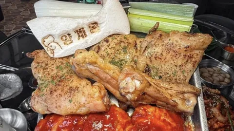 정모 대표 이미지