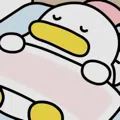 member face