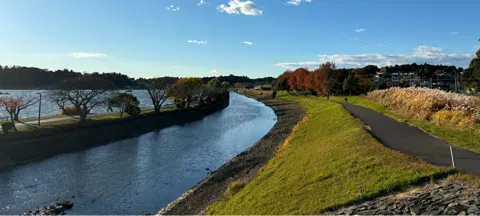 모임 대표 이미지