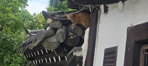 모임 대표 이미지