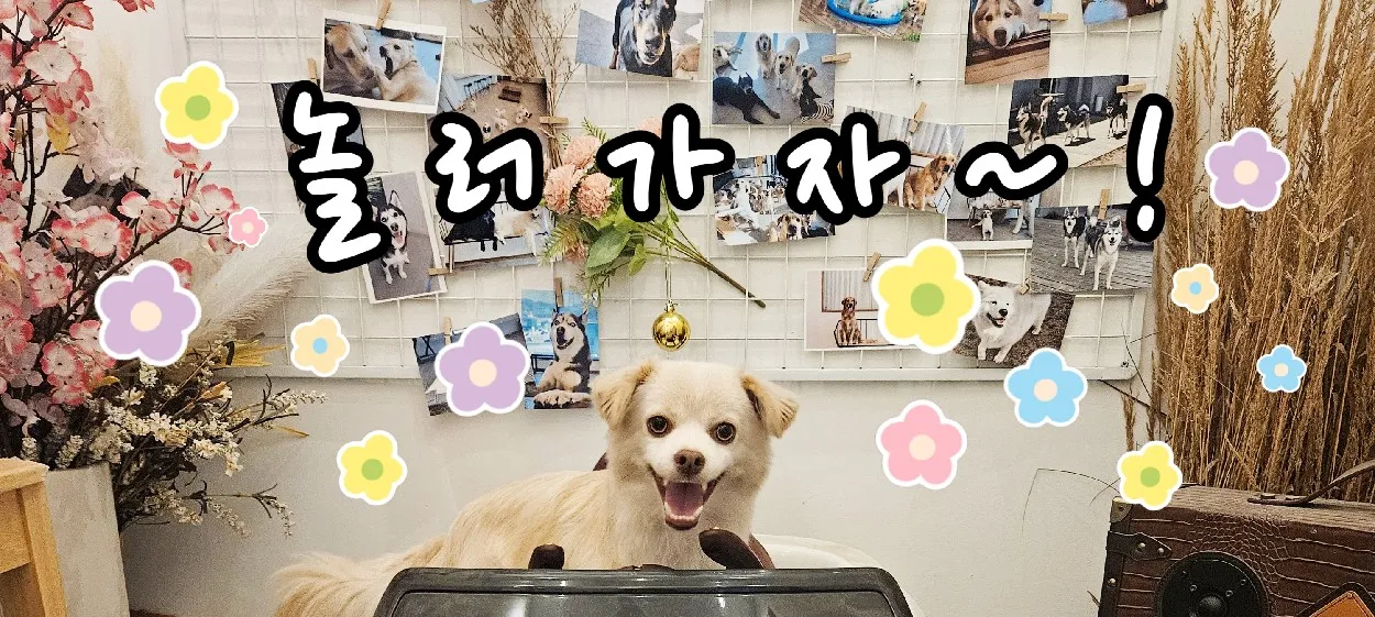 모임 이미지 1
