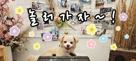 모임 대표 이미지