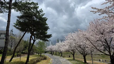 정모 대표 이미지