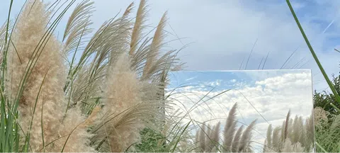 모임 대표 이미지