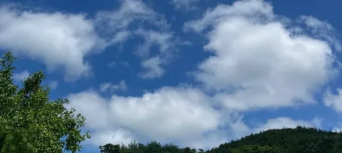 모임 대표 이미지