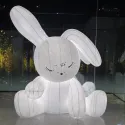 member face