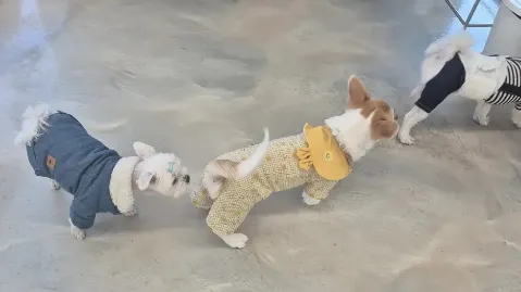 정모 대표 이미지