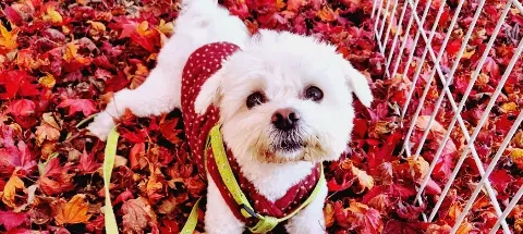 모임 대표 이미지