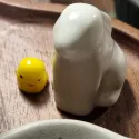 member face
