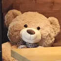 member face