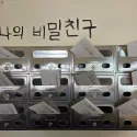 member face