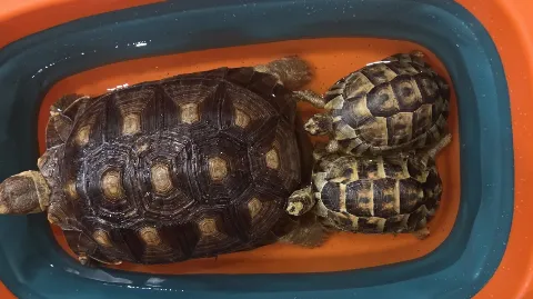 정모 대표 이미지