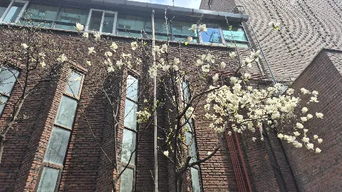 정모 대표 이미지